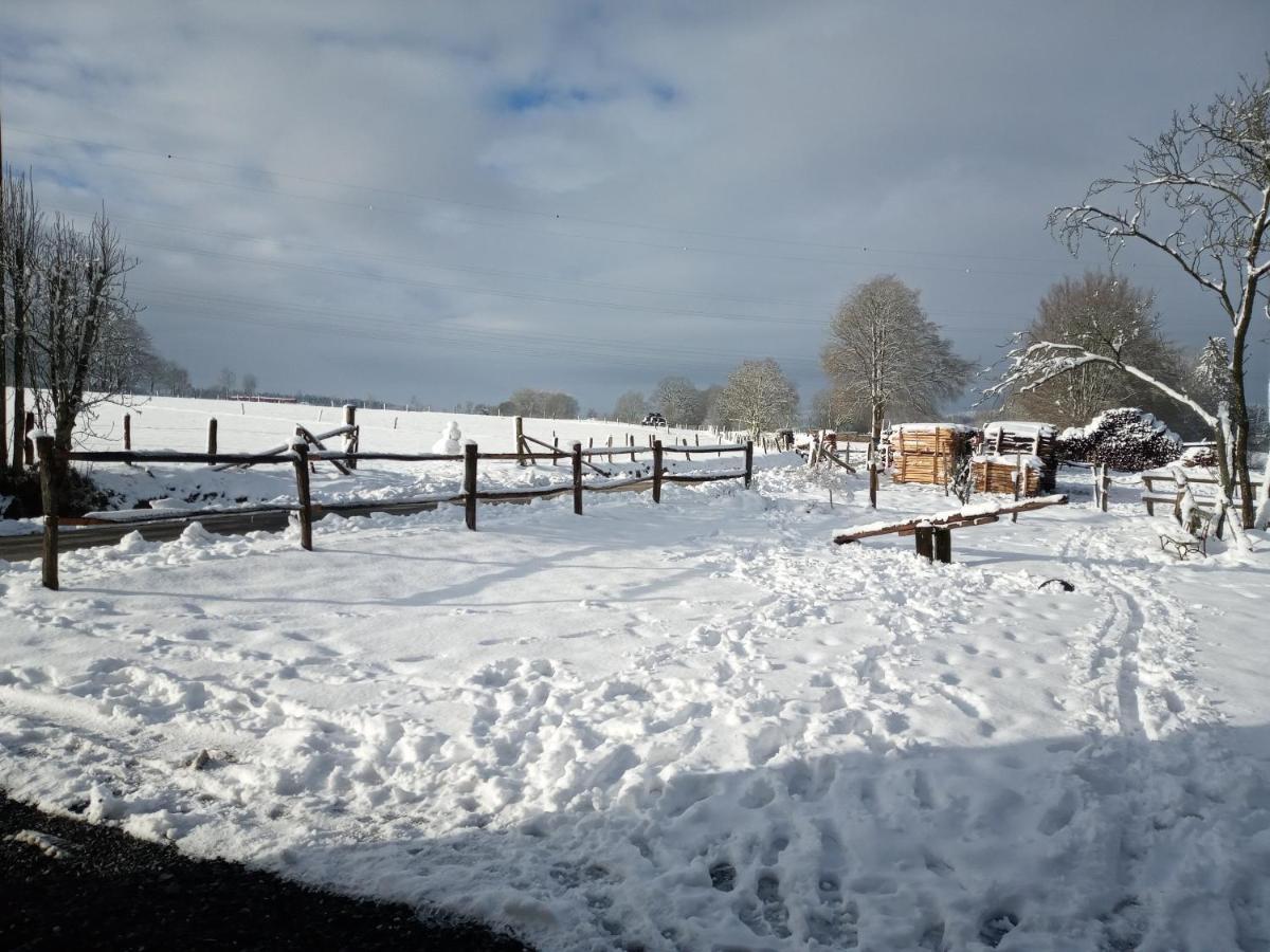Gite Le Cheval Ardennais Gouvy Exterior photo
